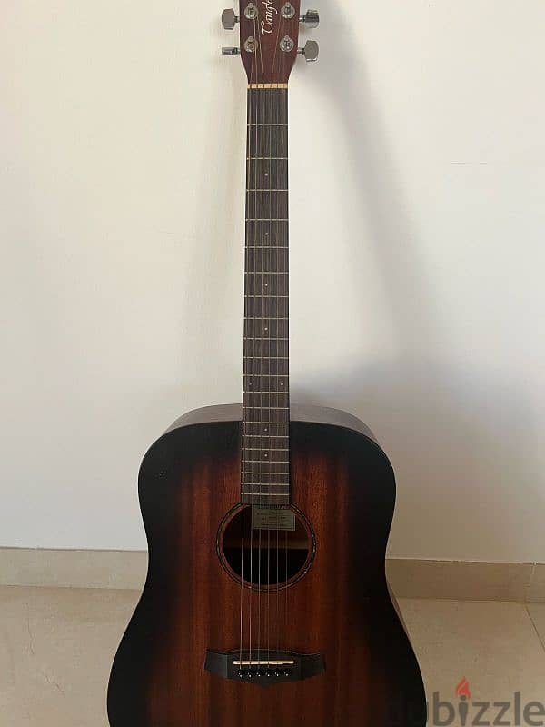 Acoustic/Electric Guitar 1