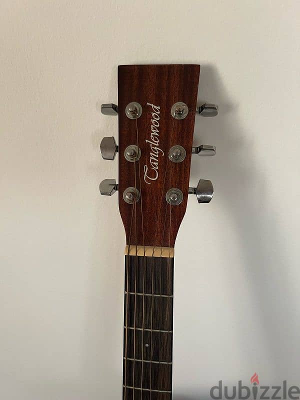 Acoustic/Electric Guitar 2