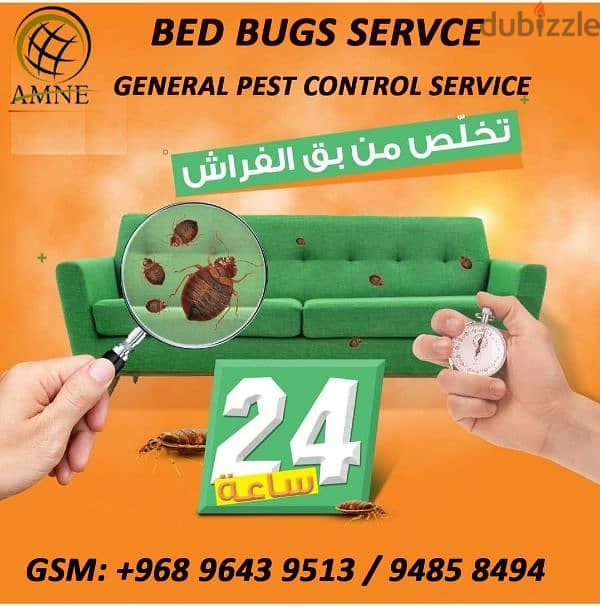 Muscat Pest Control Service 4