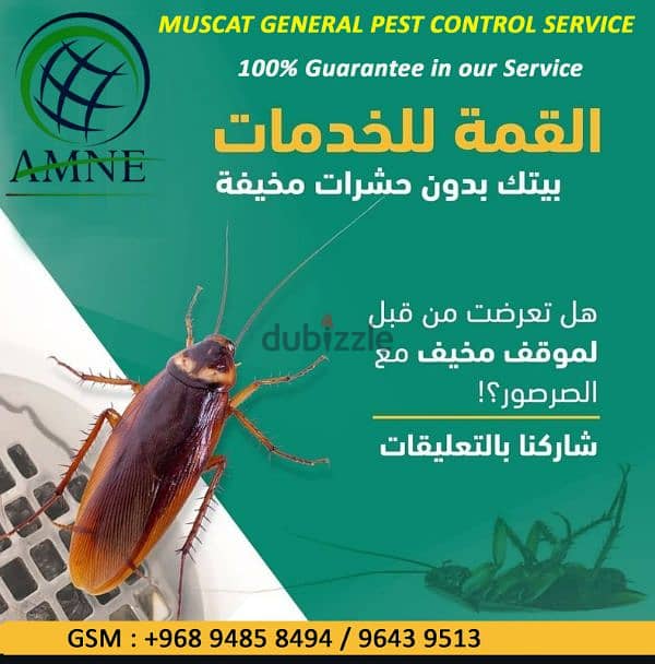 Muscat Pest Control Service 5