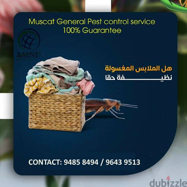 Muscat Pest Control Service 8