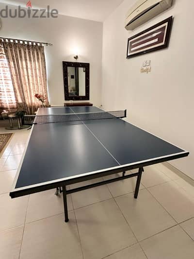 Indoor Table Tennis