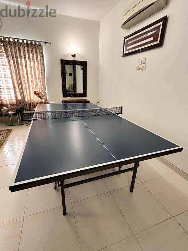 Indoor Table Tennis 0