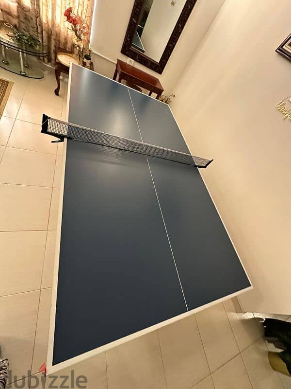 Indoor Table Tennis 1