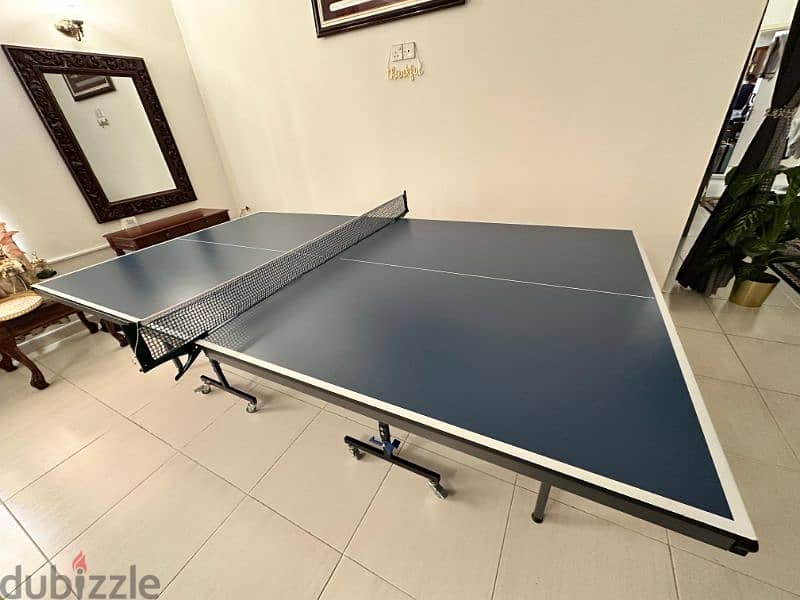 Indoor Table Tennis 2