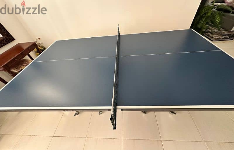 Indoor Table Tennis 3