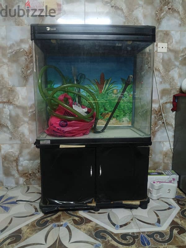 fish tank 1