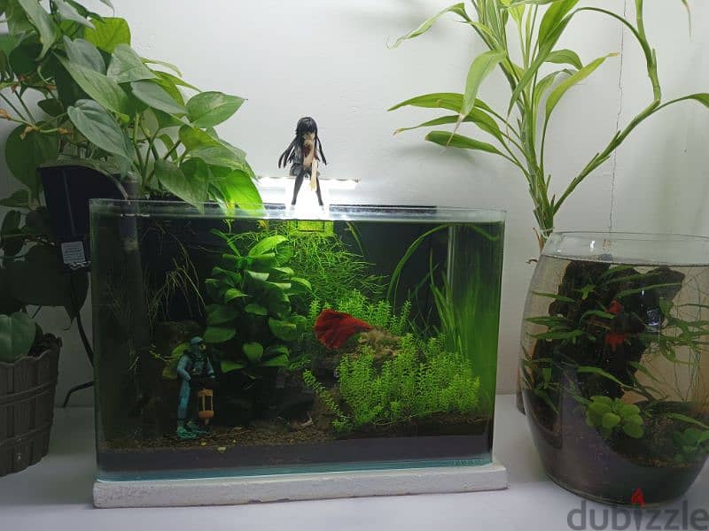 60RO for all aquarium 3