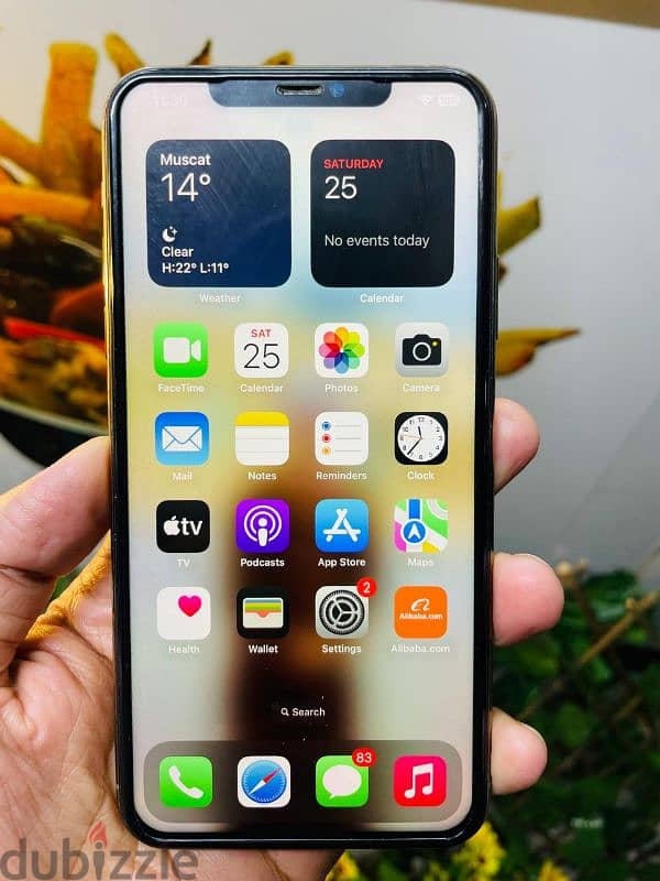 Iphone 11 Pro Max 256gb 4