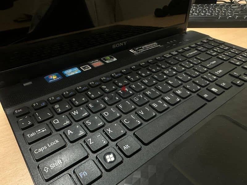 SONY VAIO 1