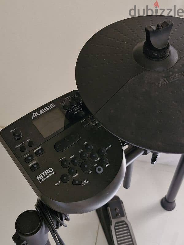 Alesis - Netro 2