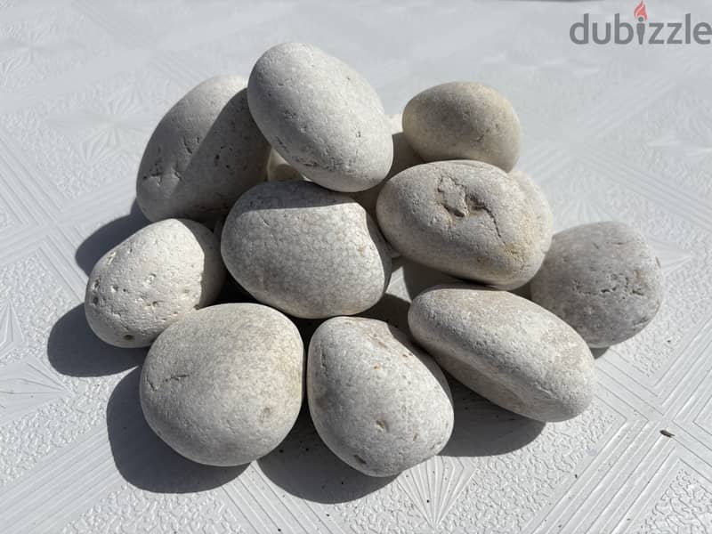 Pebbles Stone 1