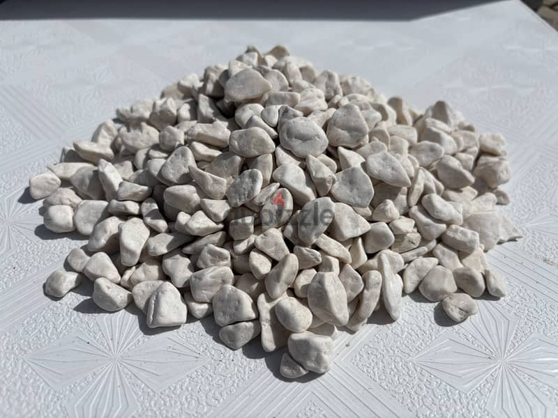 Pebbles Stone 6