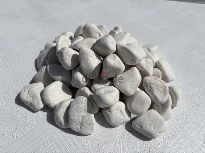 Pebbles Stone 7