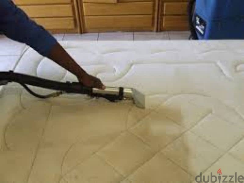 professional cleaning service sofa carpet mattress curtain 5