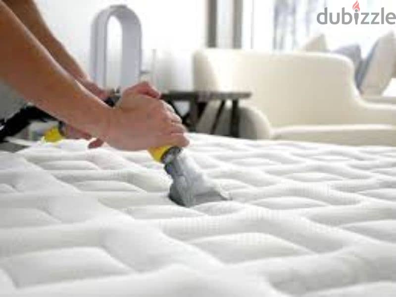 professional cleaning service sofa carpet mattress curtain 7