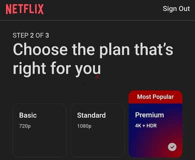 Netflix plan for 1 month