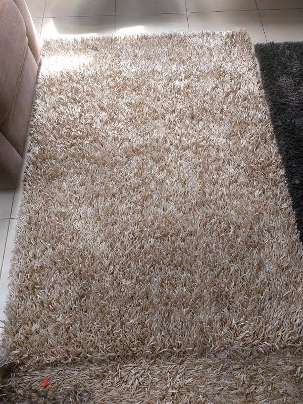 carpet 0