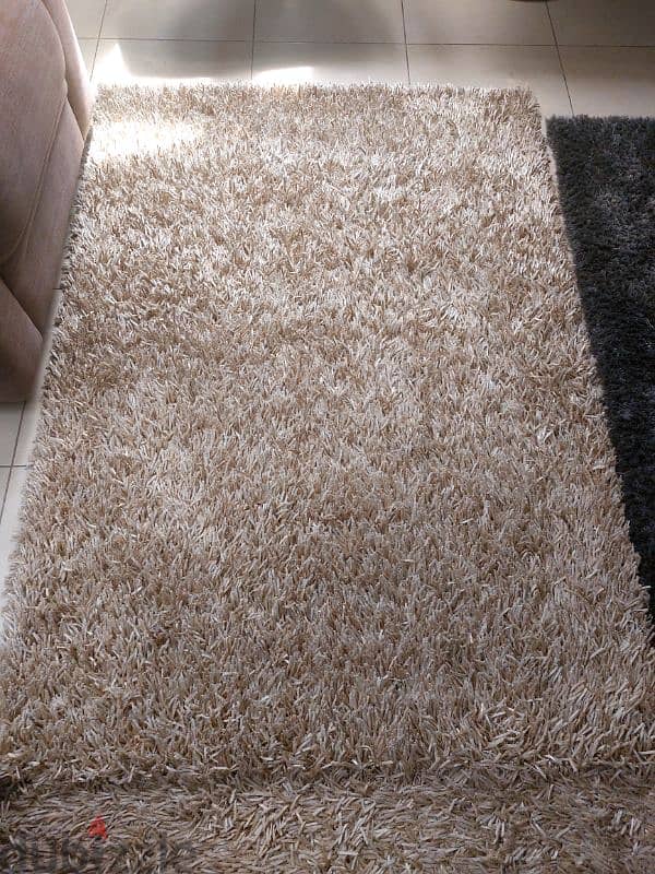 carpet 1