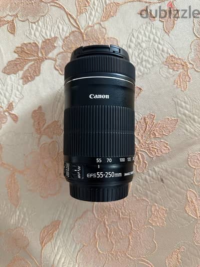 Canon 55-250 Zoom lens