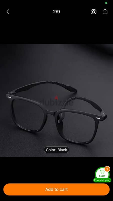 Large Frame Eyeglasses 1