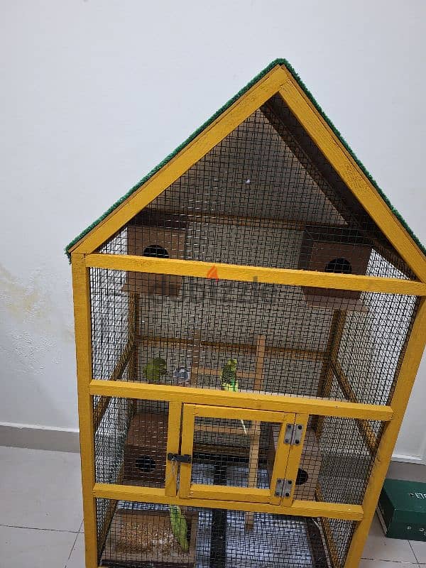 budgies parrots 4 numbers with big cage with parrots 3