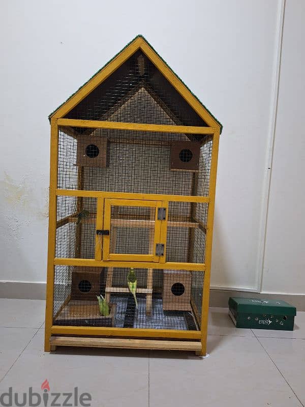 budgies parrots 4 numbers with big cage with parrots 4