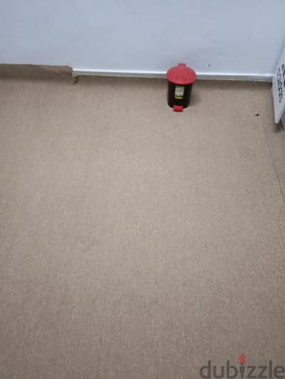 carpet for sell