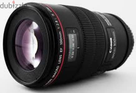 canon 100mm f2.8 macro