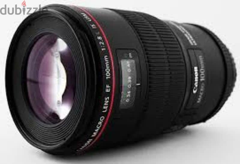 canon 100mm f2.8 macro 0