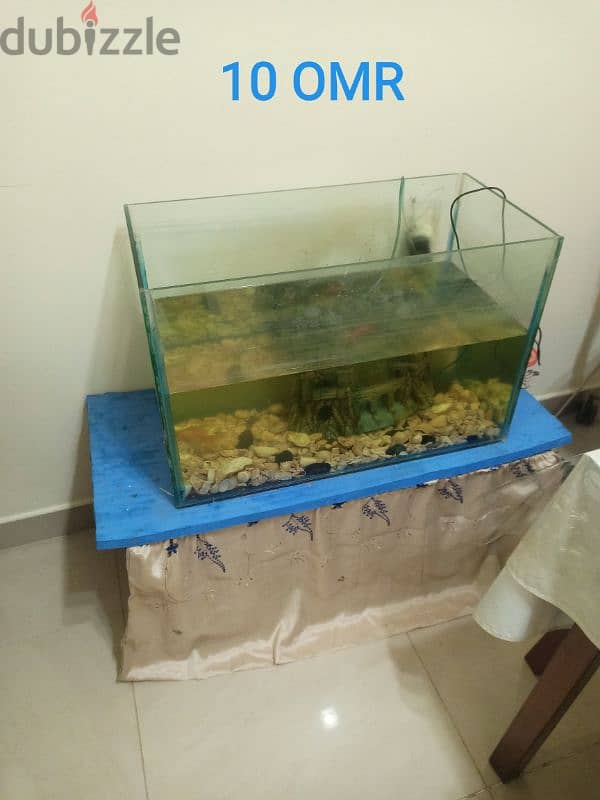 King Size Bed, Seating Mattress and Fish Tank for Sale 6