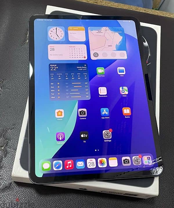 ipad pro m4 11 inch 1