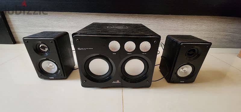 Home speakers with woofer 4