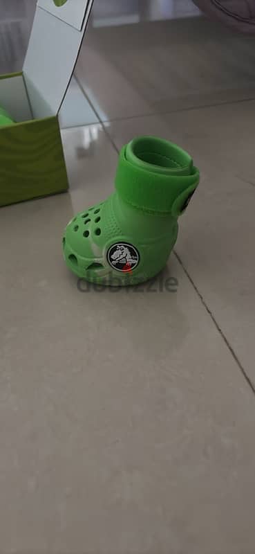 dog crocs for medium size dogs 5