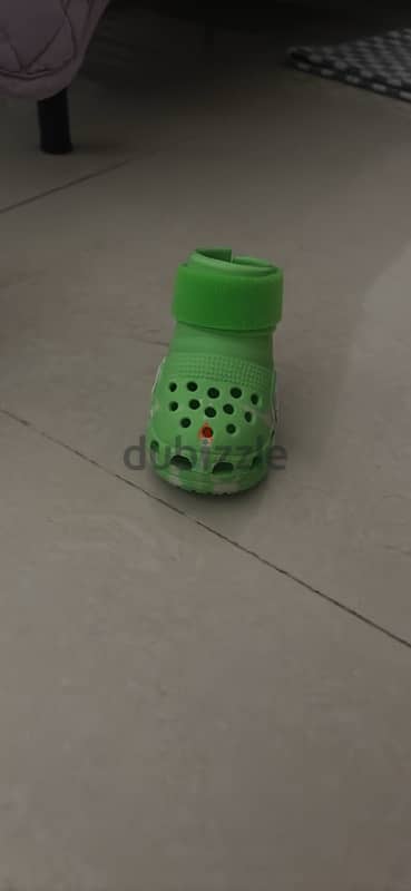 dog crocs for medium size dogs 6