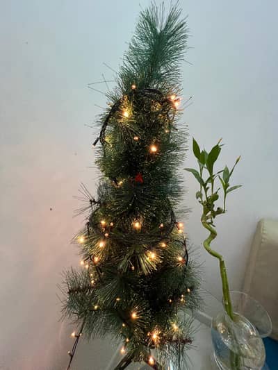 Christmas tree with led lights