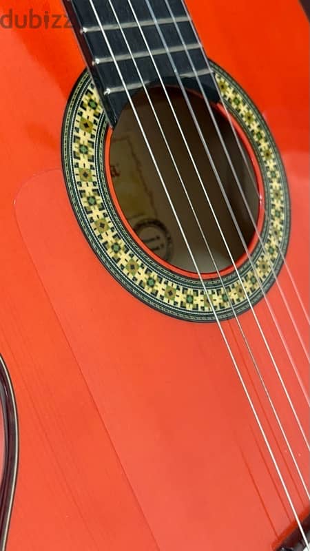 Alhambra 4FPure Flamenco Guitar with Pure Solid German Spruce Top 5