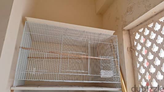 Bird Cage in good condition