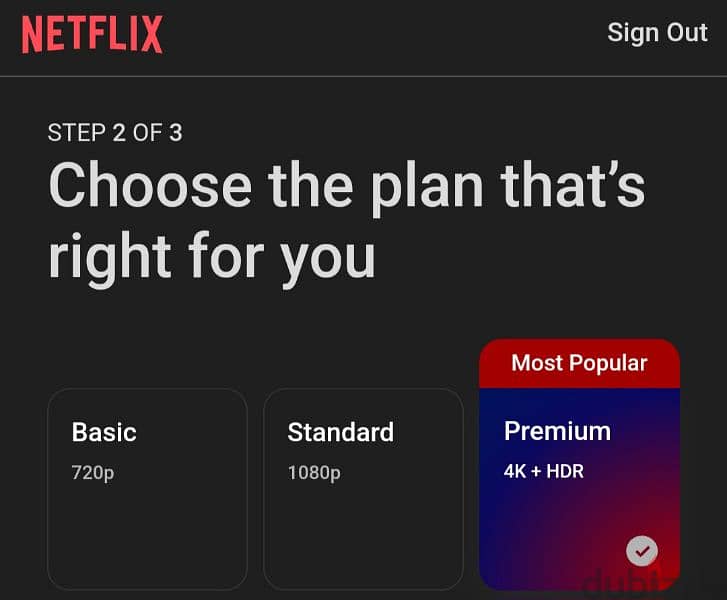 Netflix plan for 1 month 0