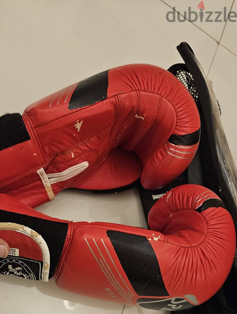 Boxing gloves 1