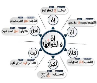 معلم لغة عربية وإسلامية وتحفيظ القرآن الكريم جميع الصفوف