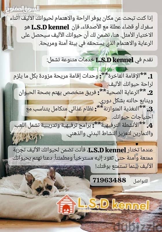 بوردنج / Boarding (Read the description it's important) 1