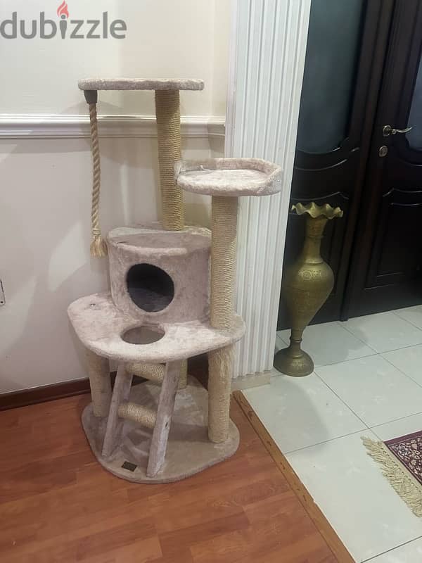 Cat House 2