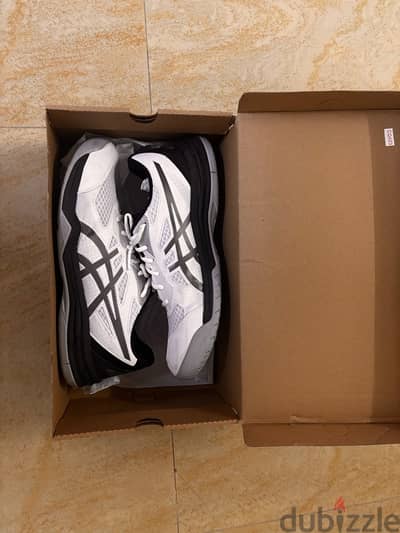 Volleyball shoes Asics Upcourt 5