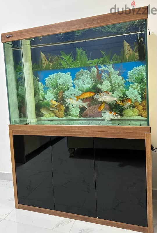 KARIS FRESH WATER FISH AQUARIUM 0