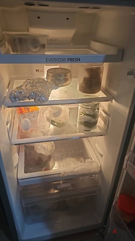 whirlpool fridge 0