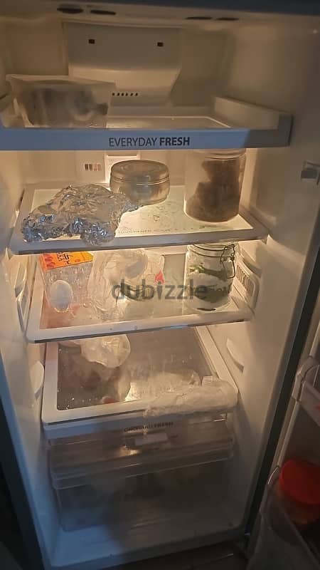 whirlpool fridge 1