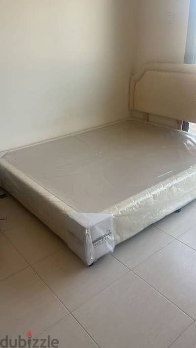 Affordable Queen Size Bed & Elegant 5-Seater Sofa for Sale!