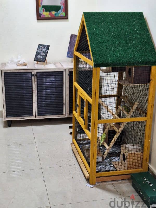 budgies parrots 4 numbers with big cage with parrots 5