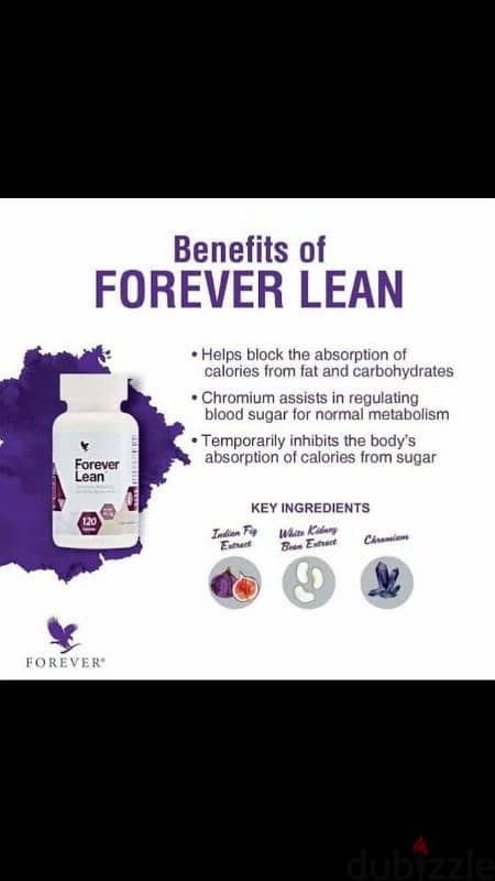 forever lean 2